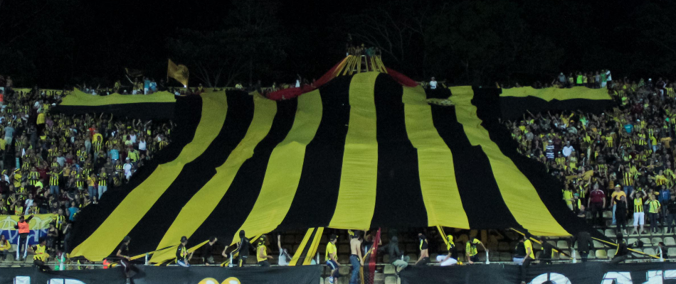 Deportivo Táchira: nuevos torneos, mismos objetivos